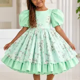 Girls’ Floral Princess Dress – Puff Sleeves & Tiered Skirt — image 3