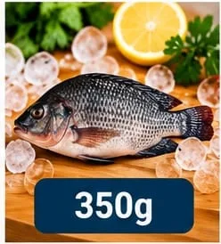 Tilapia Fish 350g