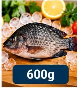 Tilapia Fish 600g