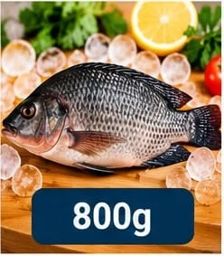 Tilapia Fish 800g