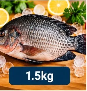 Tilapia Fish 1.5kg